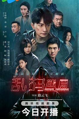 乱码迷局第14集