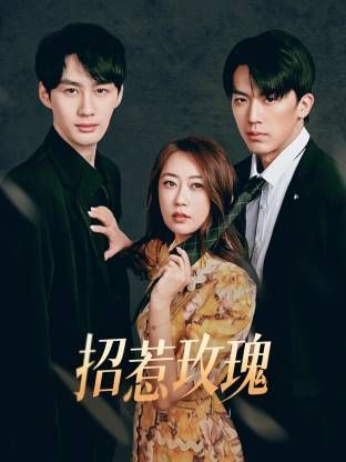 招惹玫瑰第13集